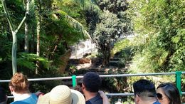 Photo of IMG_20150214_133139933.jpg Be sure to take the bus tour around the zoo and sit on the RIGHT side of the bus (most of the attractions are shown on the right side)., Josh - February 2015