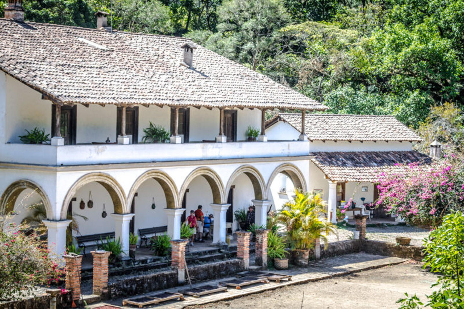 San Sebastian Tour from Puerto Vallarta
