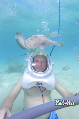 Photo of Stingray close encounter Sea Trek tour was awesome. Close encounters with Stingrays, and the beautiful fish swimming within arms length. , Lynn D - July 2016
