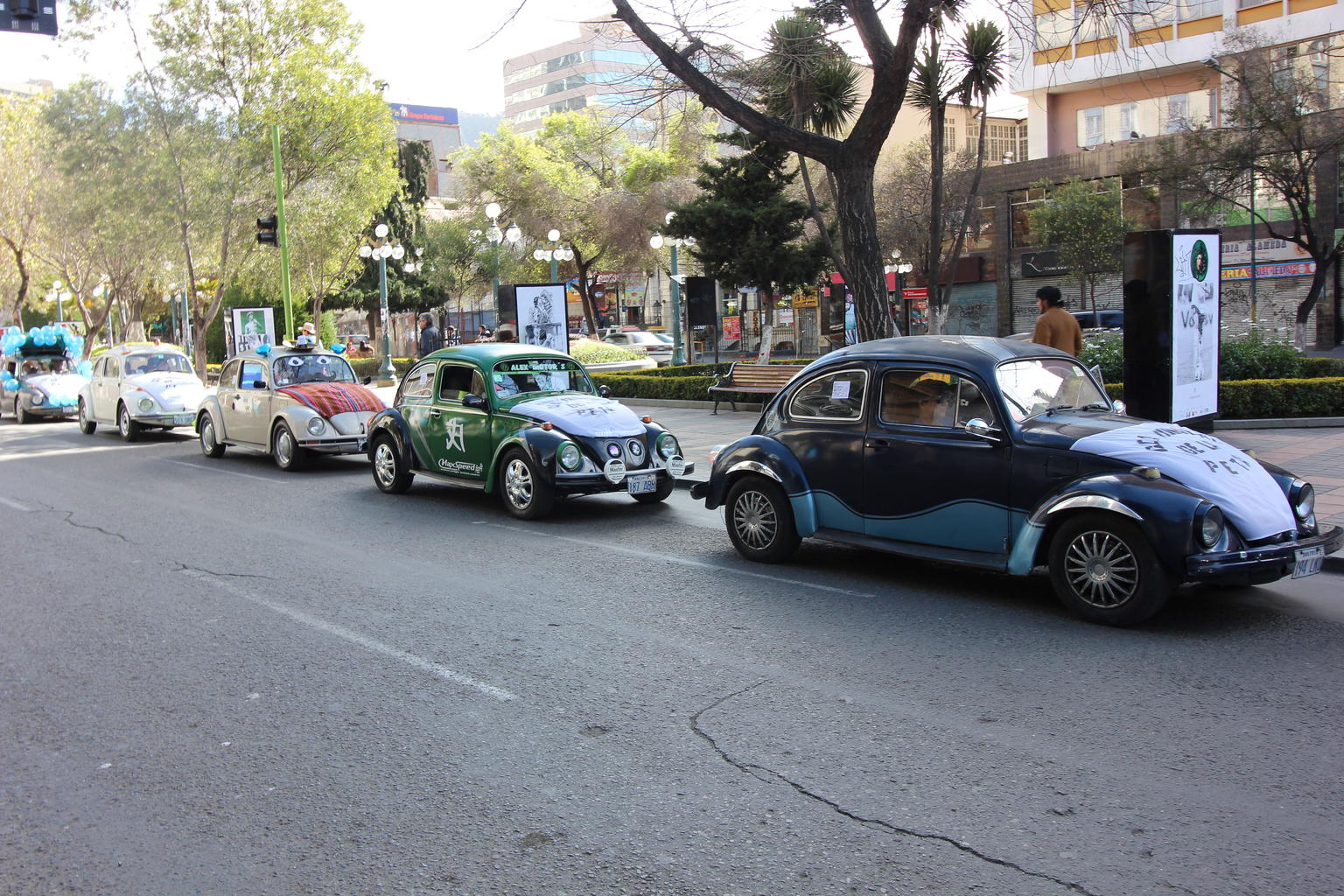 Beetles