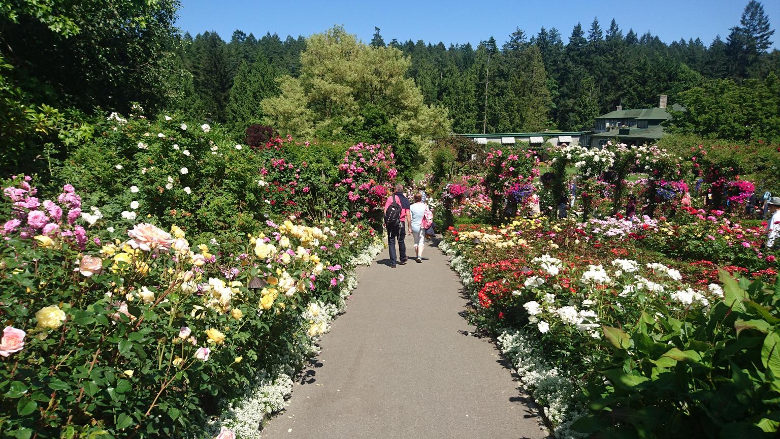 Butchart Gardens Tour from Victoria