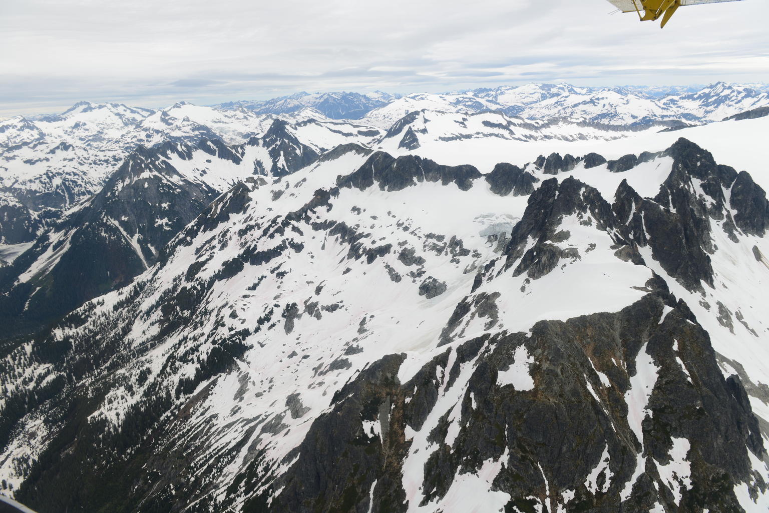 Whistler Flightseeing Tour