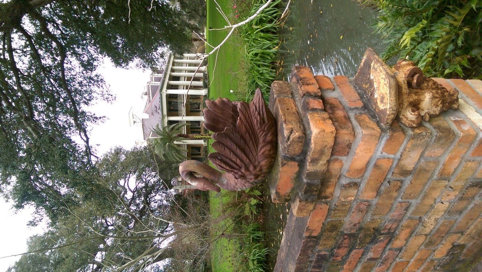 Houmas Swan