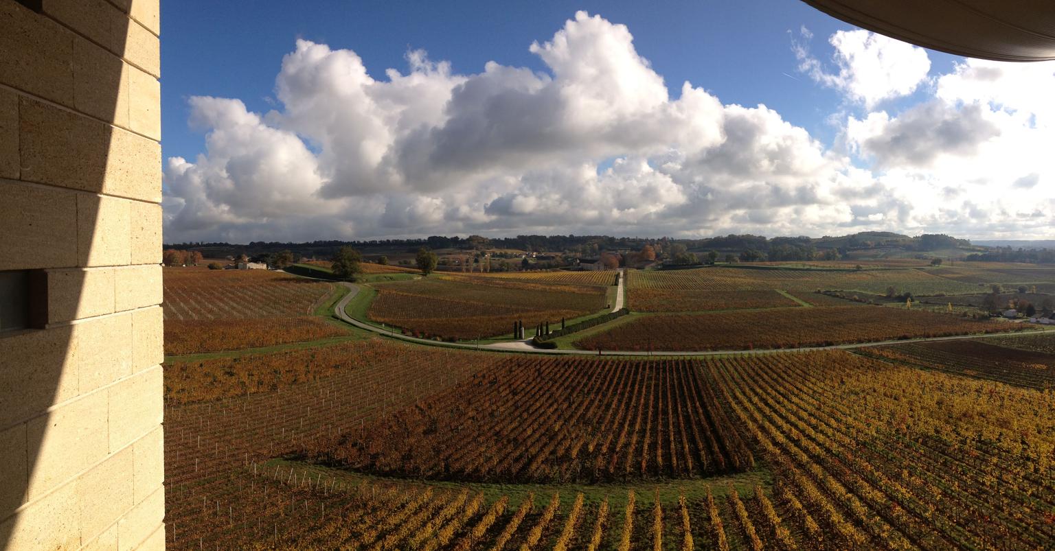 Wineyards of Saint-Emilion