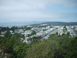 Photo of P1030869.JPG View from the observation deck at deYoung. You can see the Golden Gate Bridge peaking over the hills and the fog, Laura All Over - May 2013