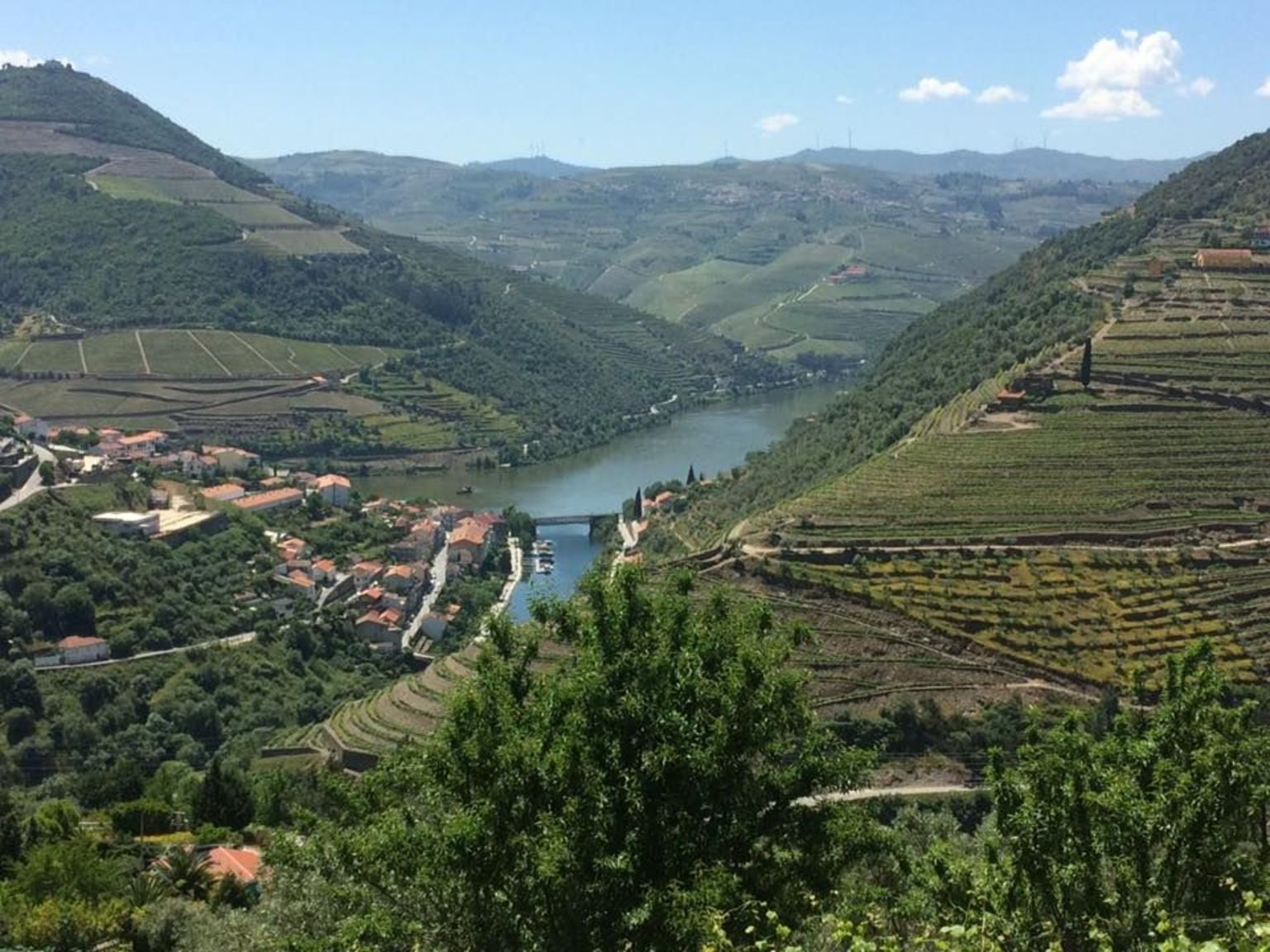 Douro River Valley