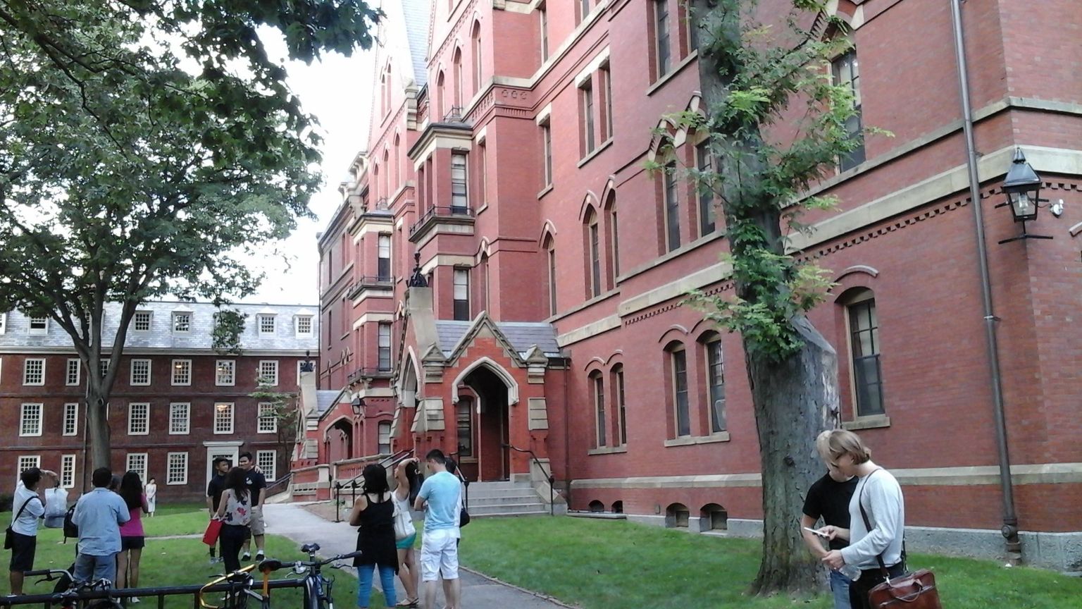 Havard