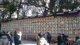 Photo of Shinto Shrine Saki display Barrels are empty but its a great photo opportunity. , John L - February 2015