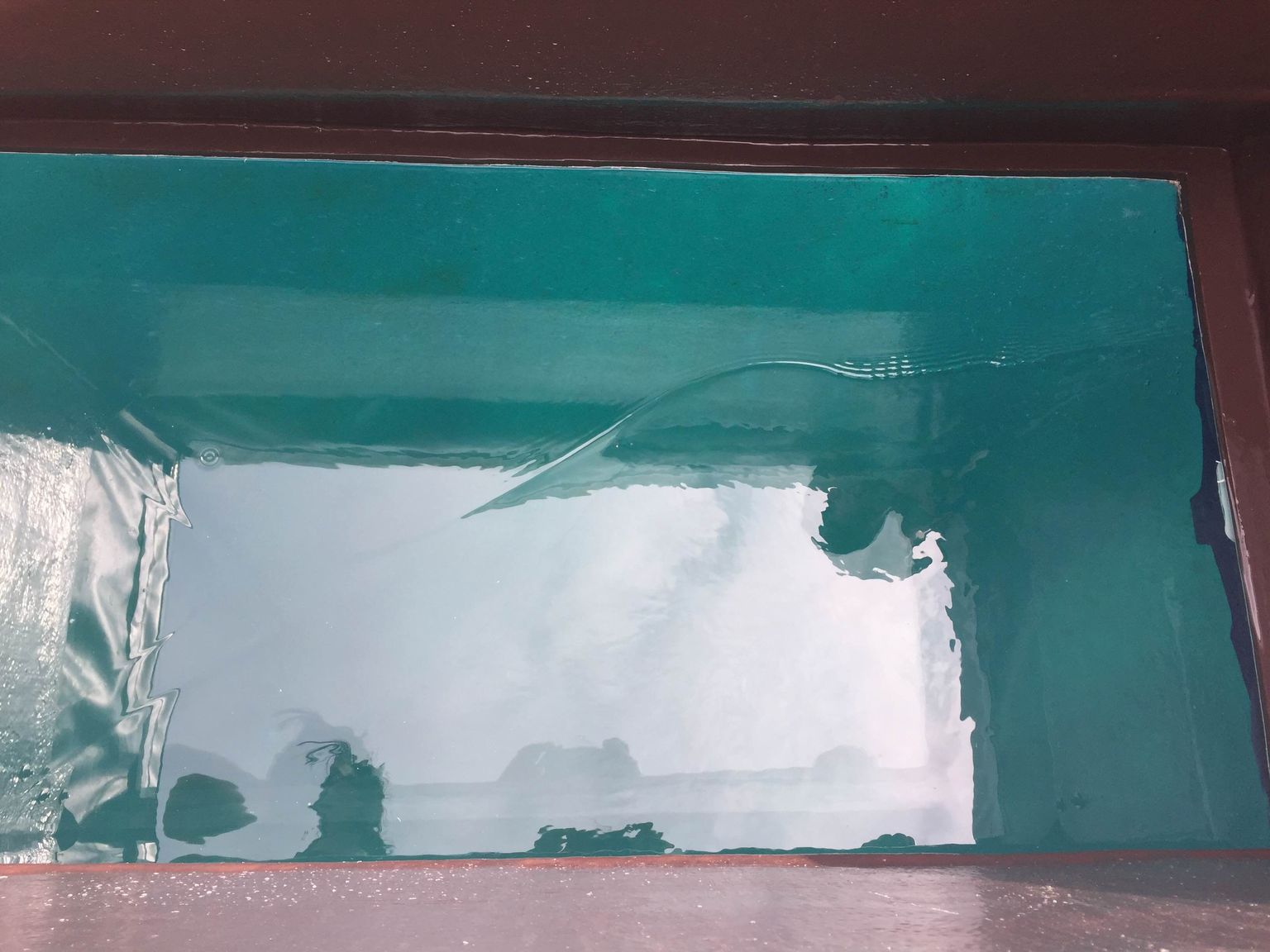 Glass bottom boat