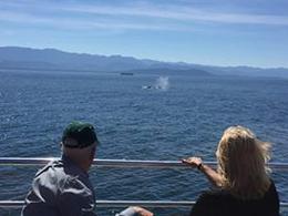 Photo of Humpback Whale Prince of Wales was outstanding. Knowledgeable and Entertaining crew. Great family adventure. , Karen D - August 2016