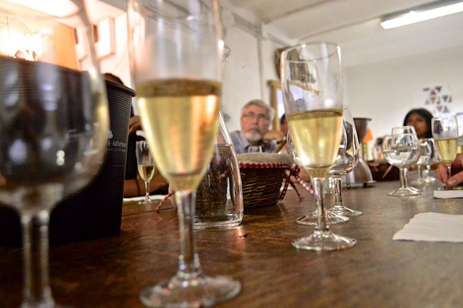 Organic Wine Tasting