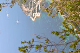 Photo of View from Eze This is the view from the top of Eze, overlooking the Mediterranean Sea. Breathtaking! , JimK - August 2015