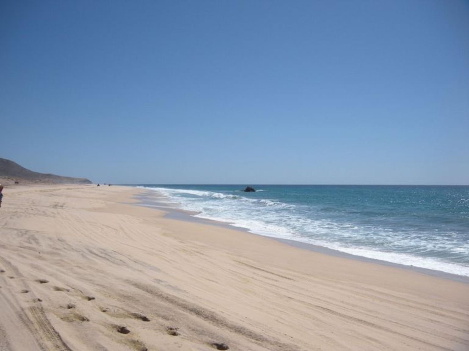 Beach Trails