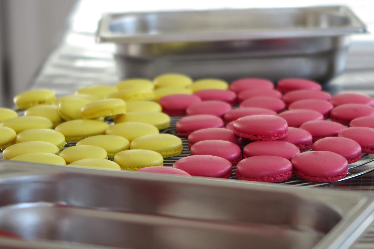 freshly made Raspberry and Lemon Macaroons
