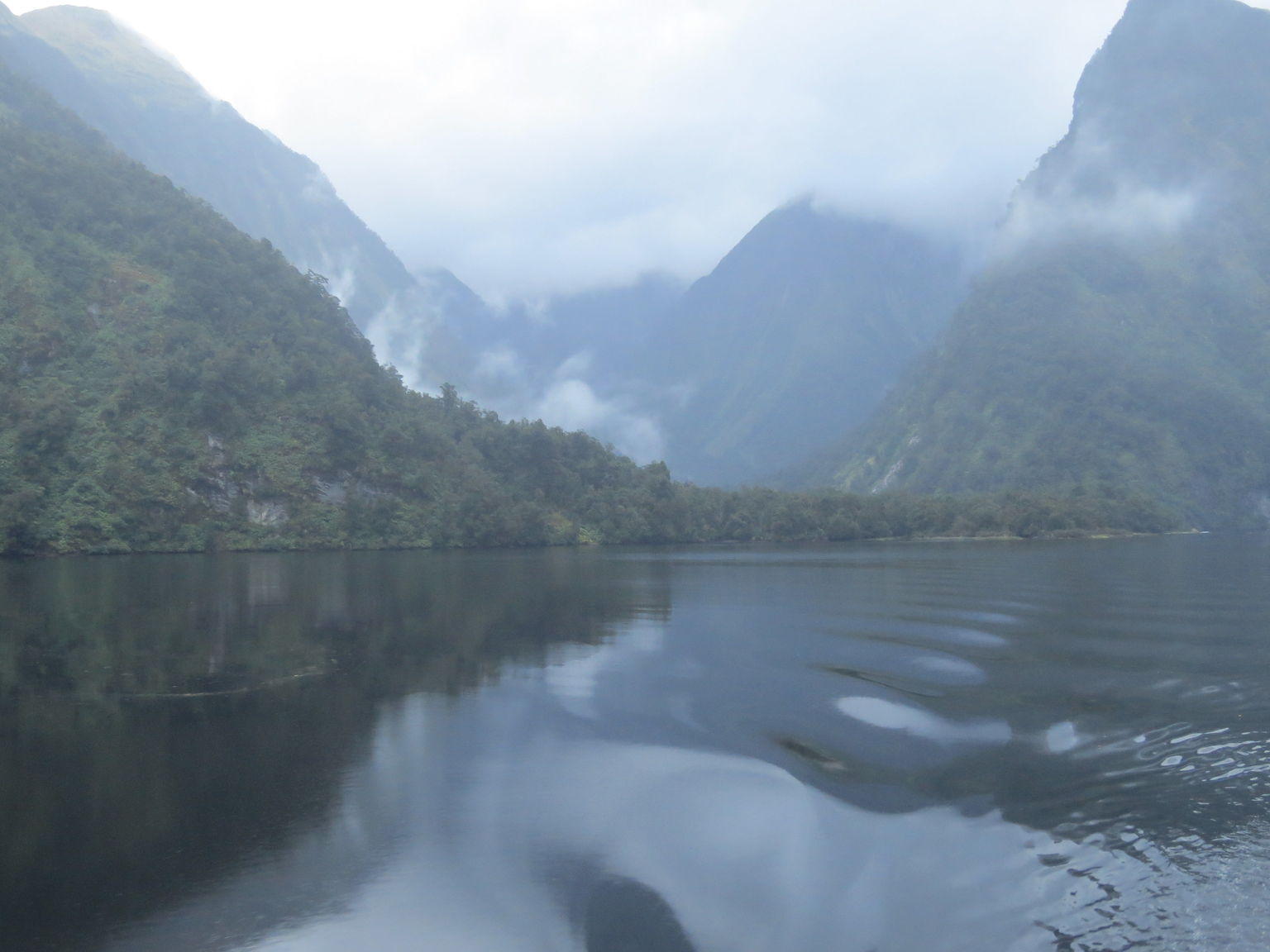 Misty Morning on Doubtful Sound