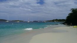 Photo of Honeymoon Beach at Caneel Bay We really enjoyed our day here and the staff were outstanding! , Matthew R - February 2015
