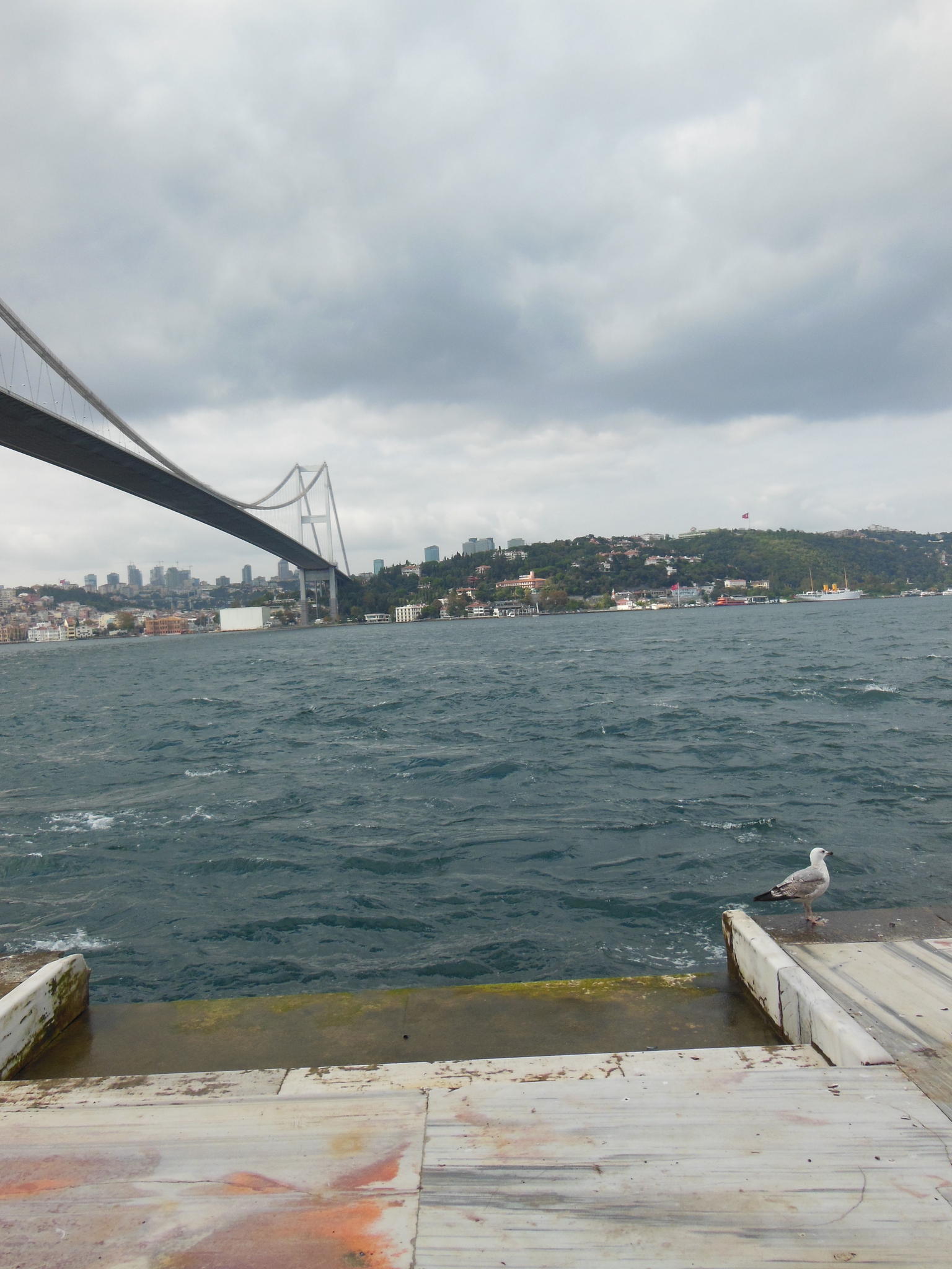 The Bridge