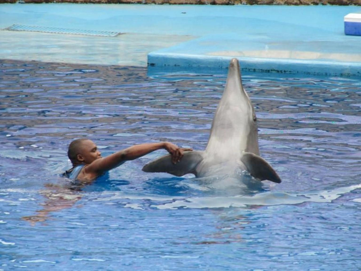 Ushaka Marine World - Durban