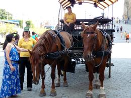 Photo of The Horse and Carriage option is a relaxed way of seeing the old town Picking up the tour outside the Royal Palace , Michael P - August 2014
