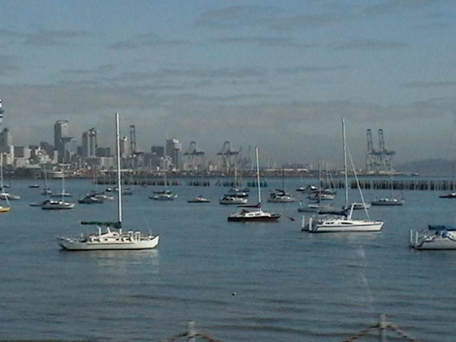 Auckland from the Harbour