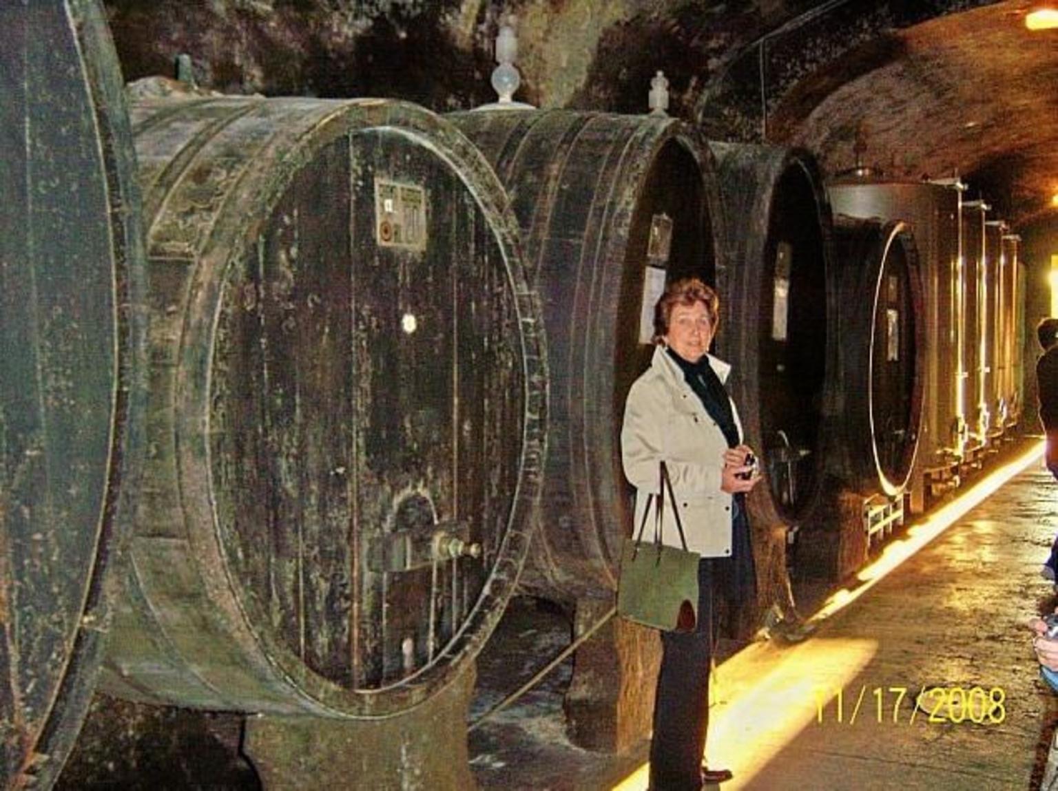 Rome - Frascati Winery Tour