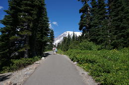 Photo of Luscious Greenery in Paradise One of many hiking trails towards Mount Rainier. So much greenery to enjoy and the peaking of Mount Rainier in the background makes you wanna go further into the trail! , Sheila Joyce V - September 2016