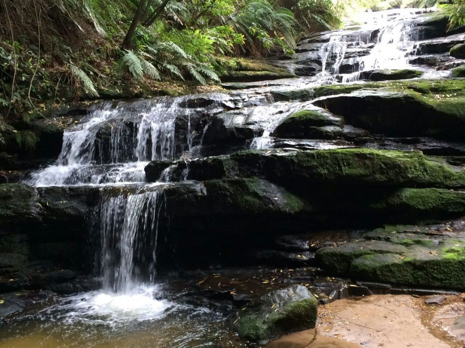Picturesque, natural, peaceful Leura Cascades beauty
