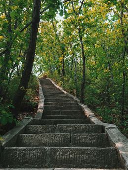 Photo of Simatai West to Jinshanling Great Wall hike The climb up to the wall is steep, but offers some beautiful moments as well , Dean S - May 2015
