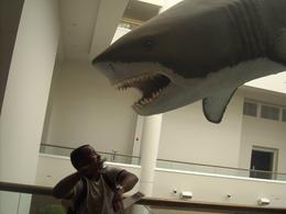 Photo of Balboa Park Museum My husband being terrorized in the Natural History Museum in Balboa Park., Travel Mom - September 2010