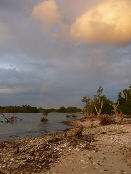 Photo of Everglades Beach The beach by our campsite in the Everglades, with a little rainbow in the distance., kellythepea - May 2014