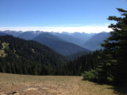 Photo of Olympic Park lunch view Here's the view from our picnic table that Marty W. picked for us. (Amazing view, birds, and fir-scented air made the lunch perfect.) , Hubserver - September 2013