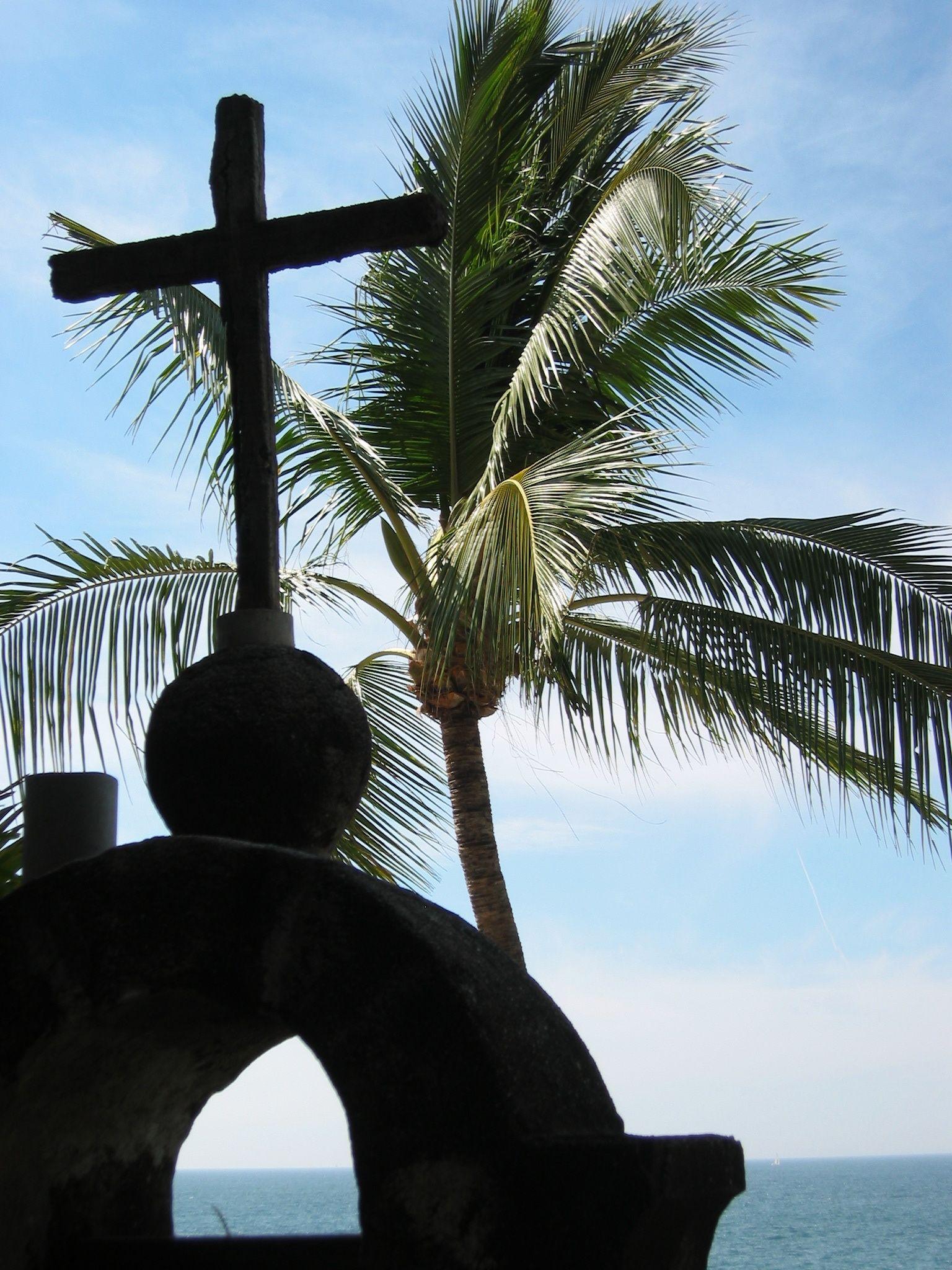 Puerto Vallarta City Tour - Palm Trees