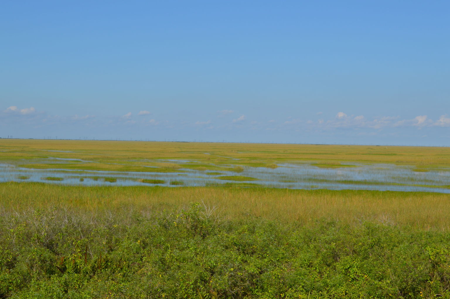 The Everglades