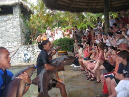 Photo of Ocean World Adventure Park Shark Show Ocean World: The instructors putting on a show for the crowd before we got to swim with the sharks - September 2011