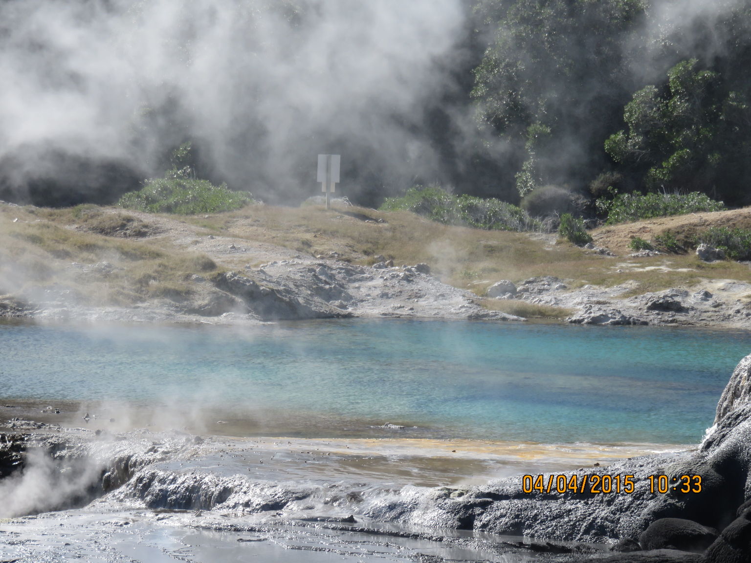 Te Puia - pools of water