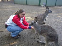 Photo of At the Featherdale Wildlife Park This was an excellent opportunity to mingle with all manner of Australian native animals in a very well-maintained sanctuary. - June 2009