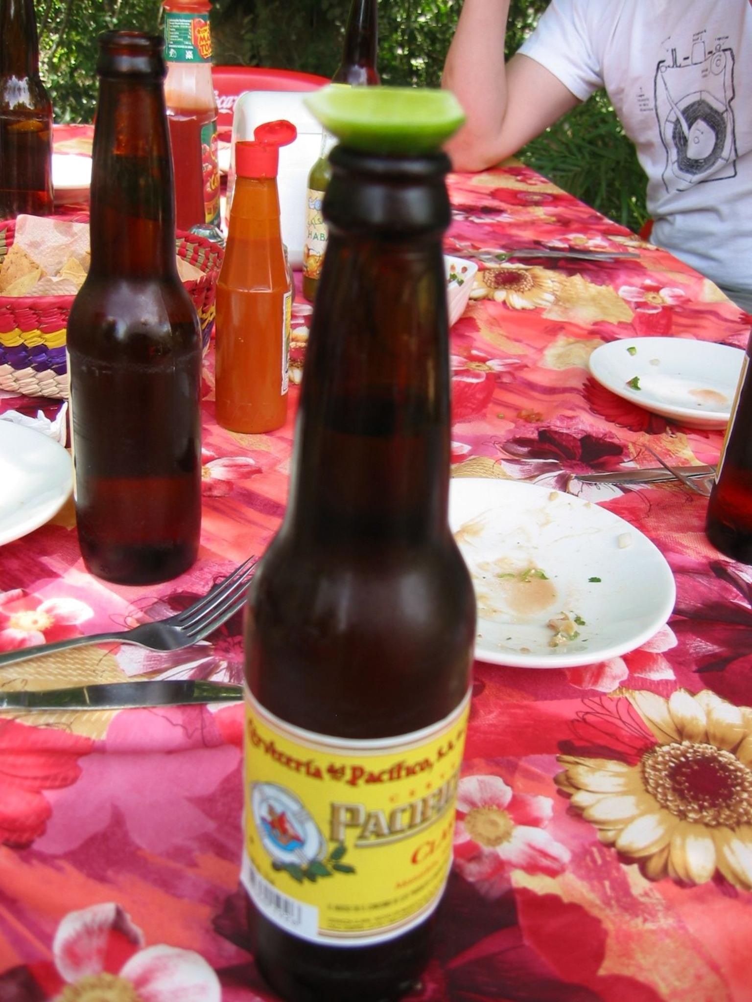 Puerto Vallarta City Tour - Lunch!