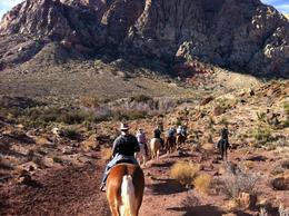 Photo of Into the trail The view from my horse of my partner who is a novice rider in front of me , ponies4us - December 2011