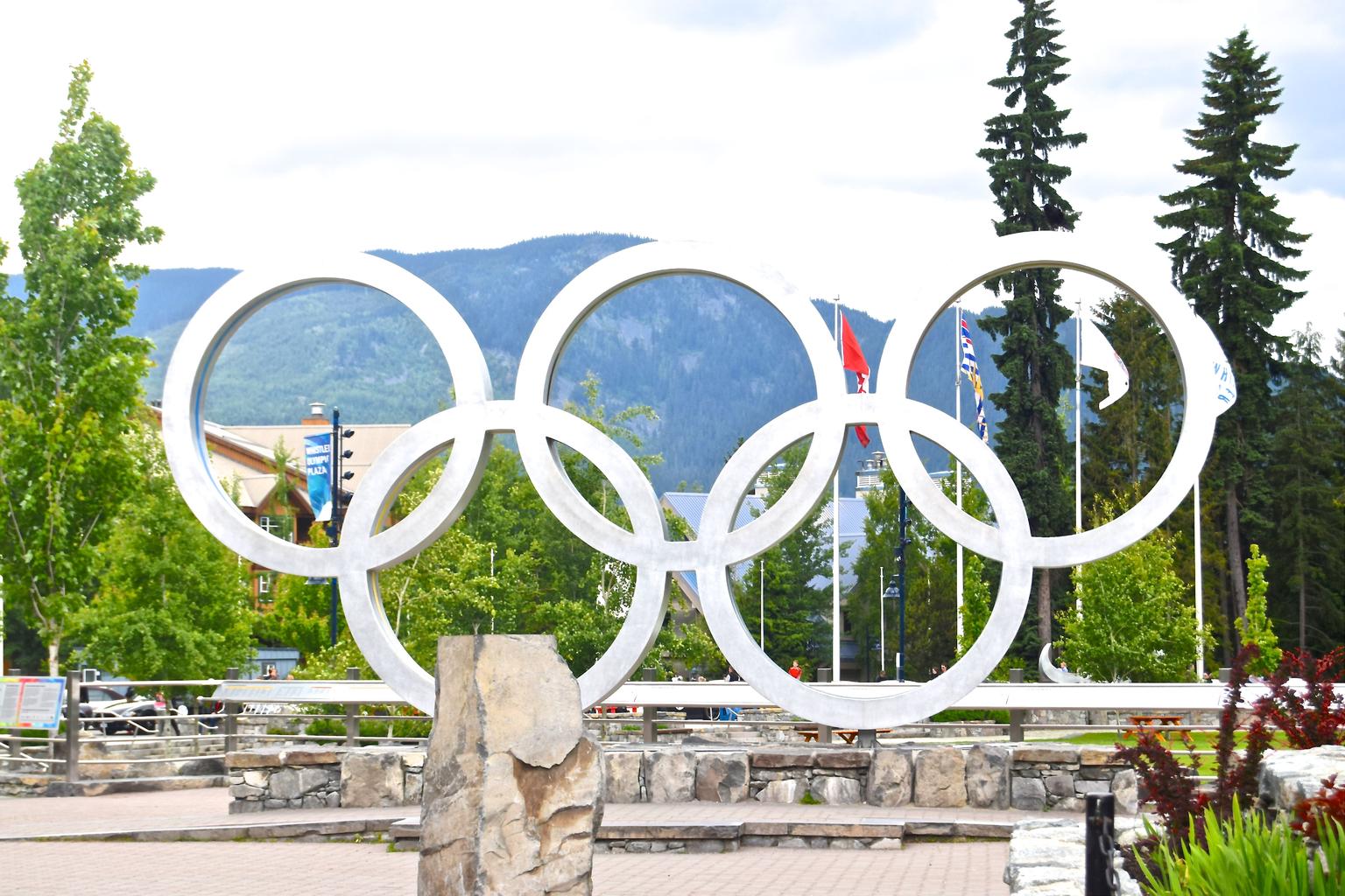 The 2010 Olympic Rings