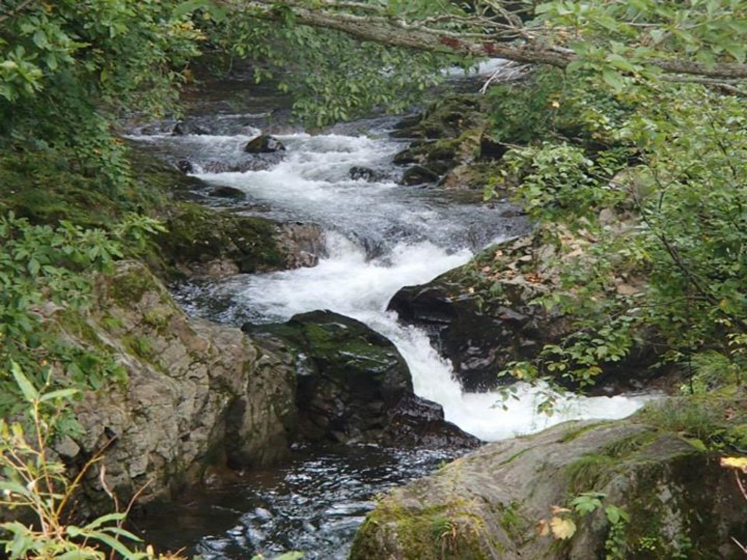 beautiful nature all around