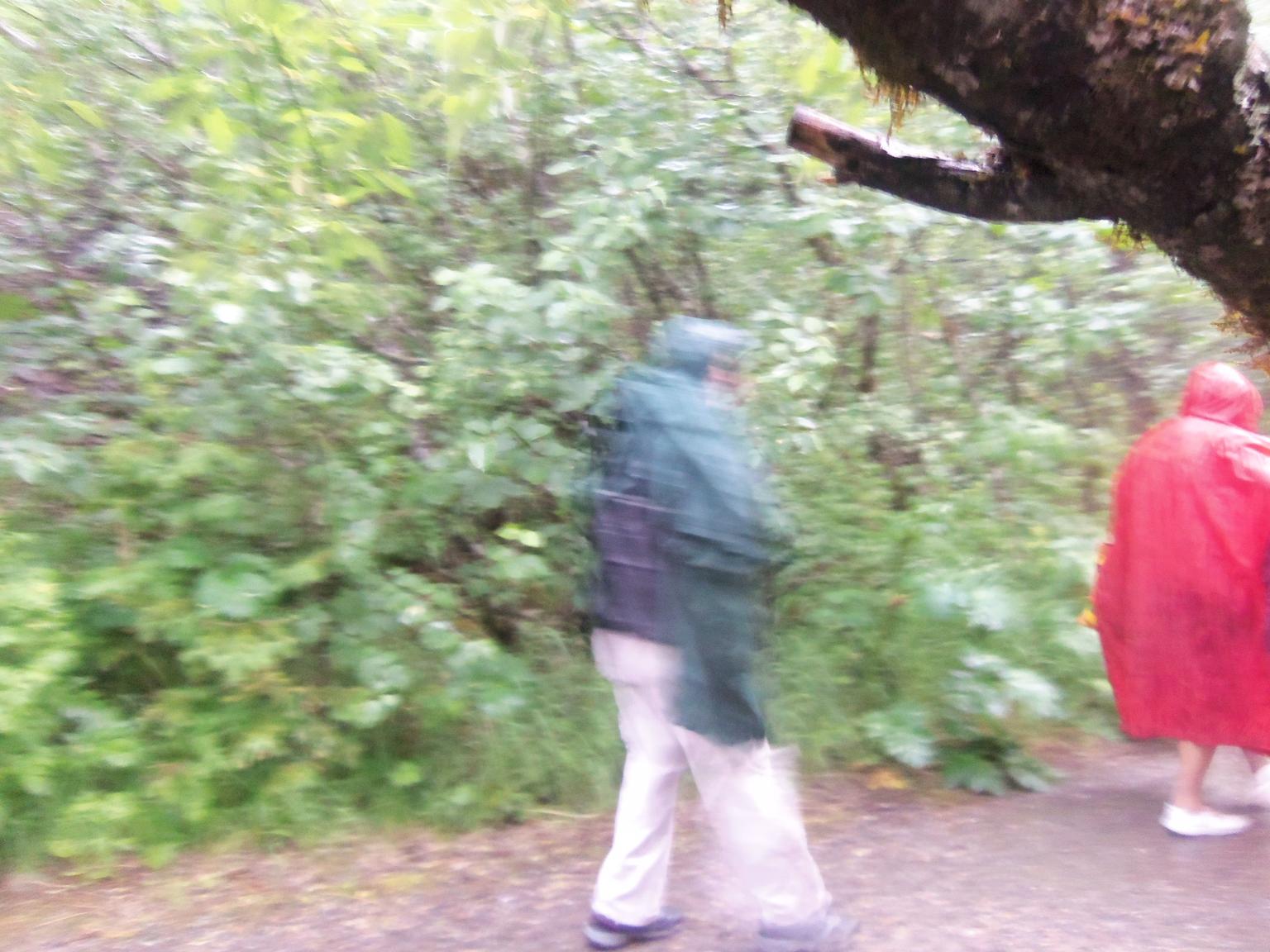 Gold panning in a thunderstorm
