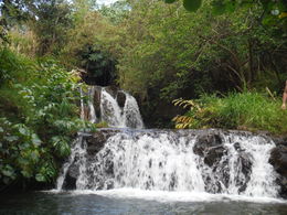 Photo of The falls, a little chilly young people were jumping off the falls into the falls below , Cynthia B - June 2016