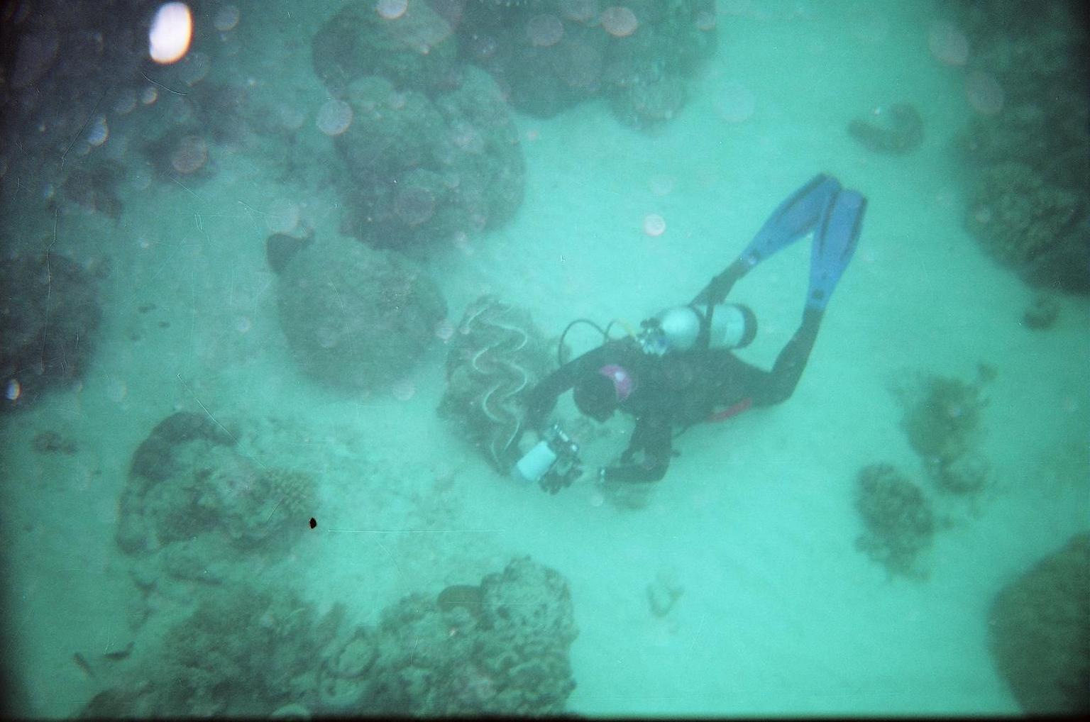 Videographer with Giant Clam