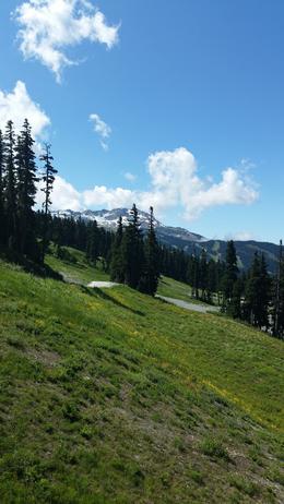Photo of peace on the chairlift on the way to peak2peak Amazing Whistlet. Can't wait for the winter visit. , Vanina M - September 2016