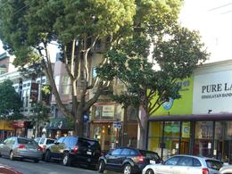 Photo of Row of shops in Haight-Ashbury, San Francisco Row of shops in Haight-Ashbury, San Francisco - not as many hippies these days!, skigirlsf - December 2011