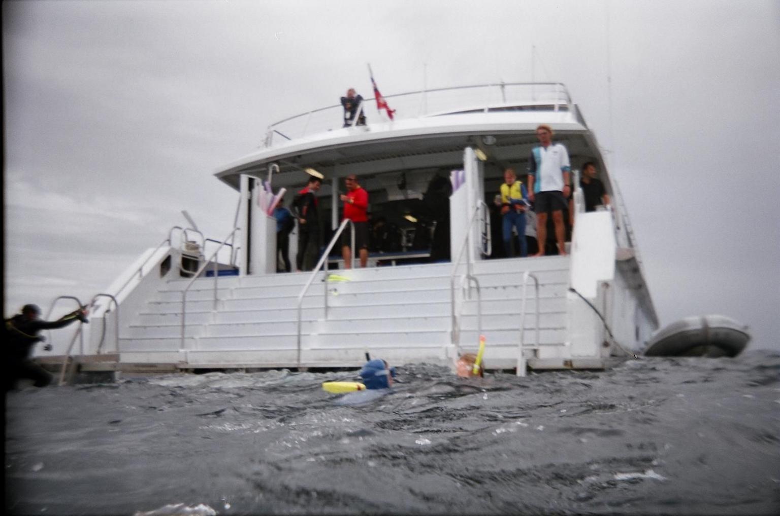 Agincourt Reef Diving