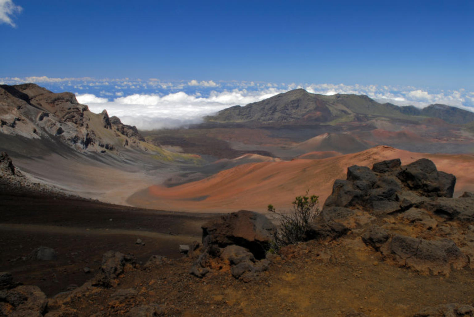 Maui