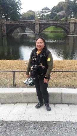 Photo of Imperial Palace We were only outside but we can see the grandeur of the Imperial Palace. , Catherine C - April 2014