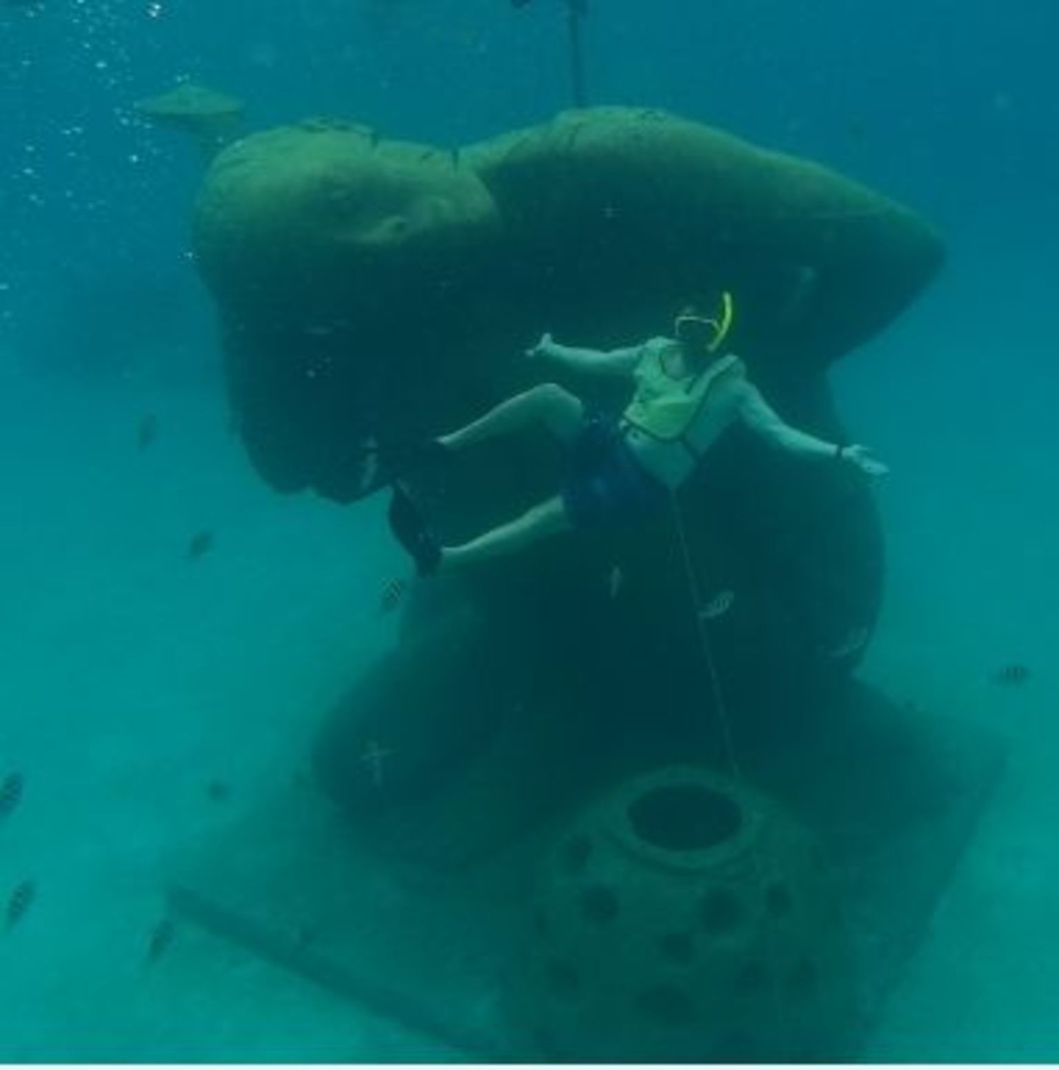 Statue Snorkel Stop