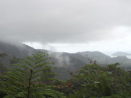 Photo of Beautiful view from Alexandra Lookout A nice stop at what I think was the most beautiful view during our trip, despite the cloudy weather. , Jeffrey - May 2016